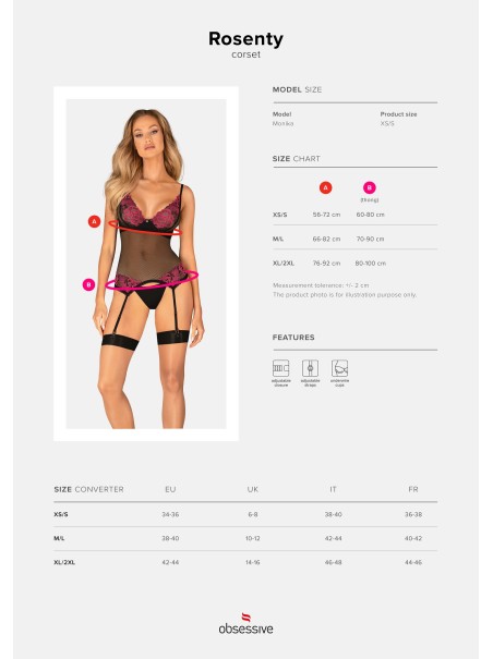 Obsessive Lingerie corsetto con ricami rosa e perizoma Rosenty Obsessive Lingerie corsetto con ricami rosa e perizoma Rosenty