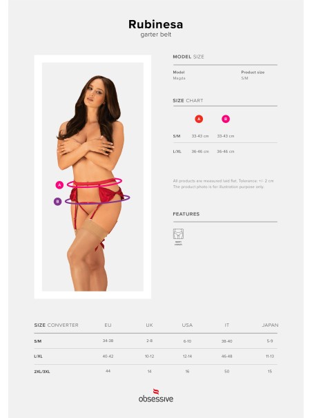 Obsessive Lingerie sexy reggicalze con perizoma in raso rosso Rubinesa Obsessive Lingerie sexy reggicalze con perizoma in raso rosso Rubinesa