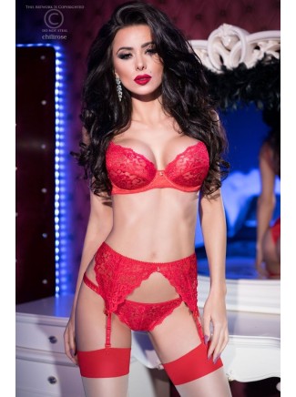 elegante completino intimo con reggicalze in pizzo rosso
